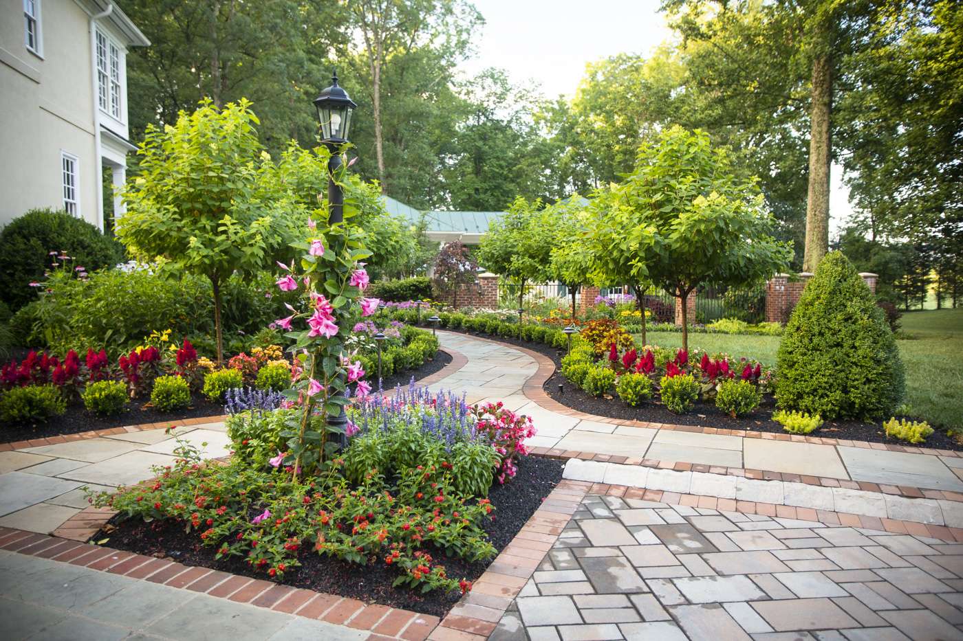 small landscape shrubs